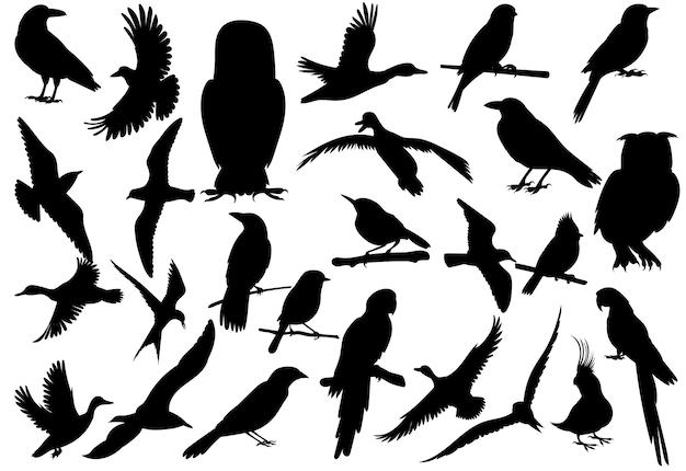 Conjunto de aves silueta negra vector aislado