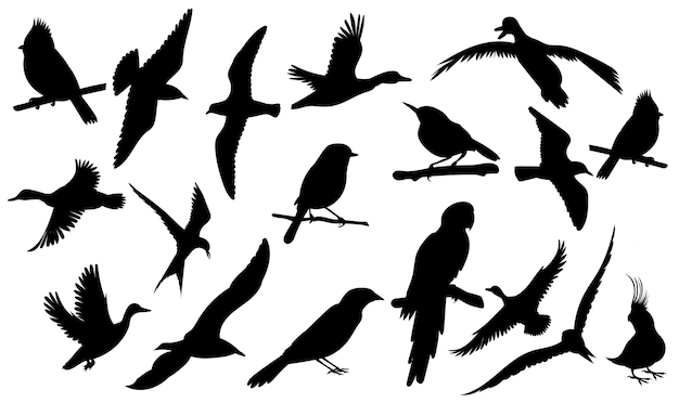 Conjunto de aves silueta vector aislado