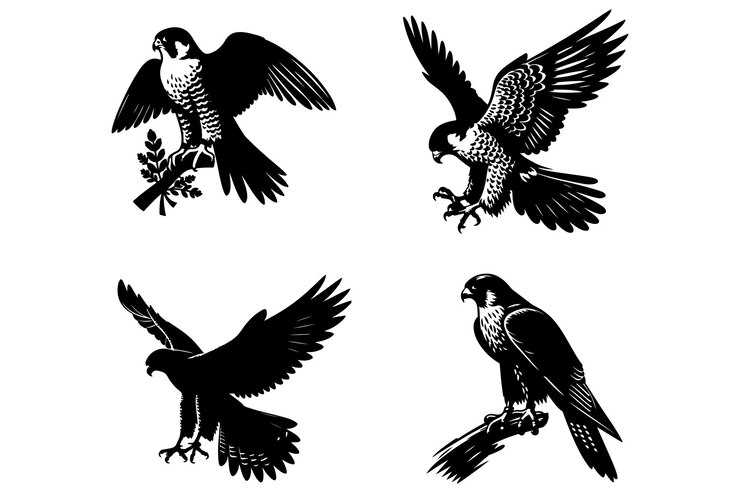 Conjunto de aves