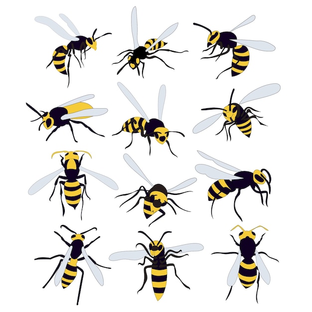 Vector conjunto de avispas de abejas aisladas vectoriales