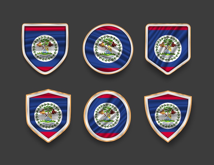 Vector conjunto de banderas en marcos con diferentes formas de marco