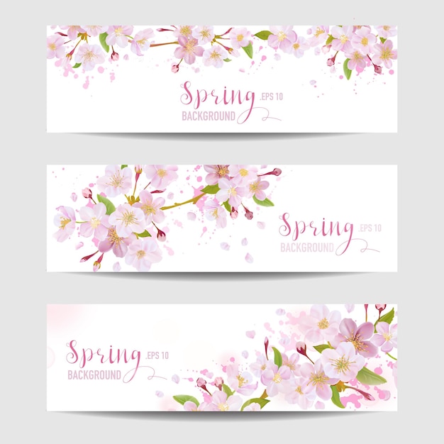 Conjunto de banner de flores de primavera Árbol de flor de cerezo
