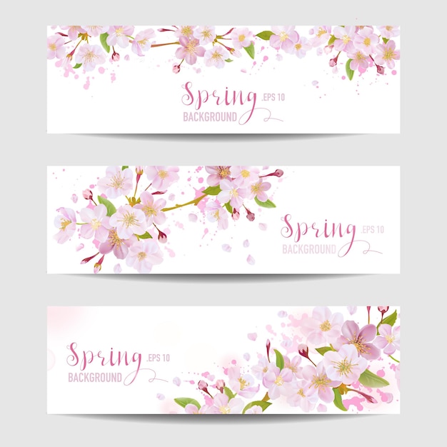 Conjunto de banner de flores de primavera árbol de flor de cerezo