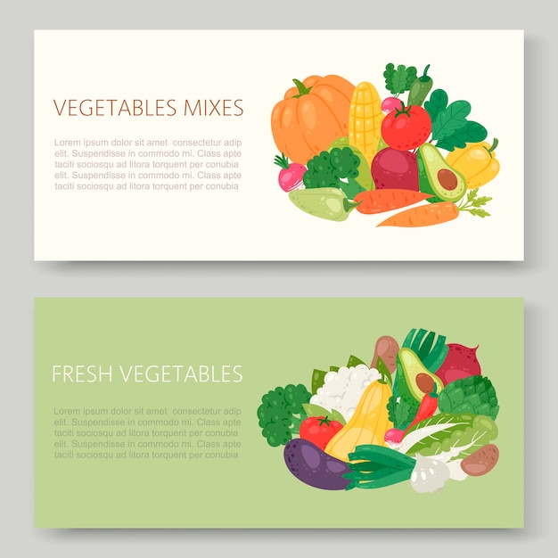 Conjunto de banner de ilustración de verduras eco frescas.