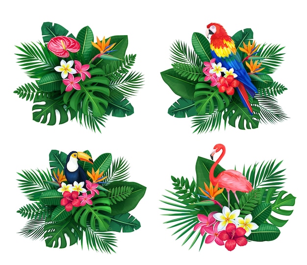 Conjunto de banner tropical