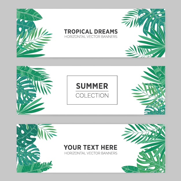 Conjunto de banners horizontales de verano con hojas tropicales, monstera, plátano, chamaedorea y otras palmeras.