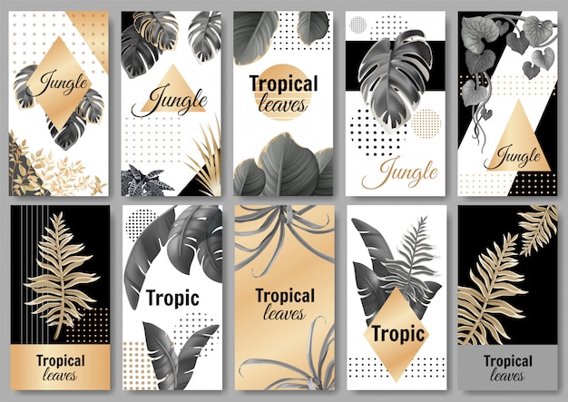 Conjunto de banners de plantilla con hojas oscuras y doradas.