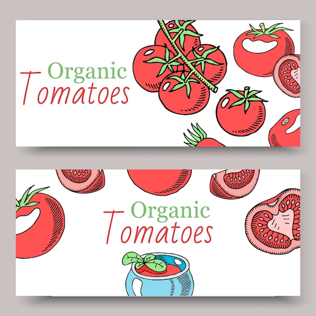 Conjunto de banners de salsa orgánica de tomates