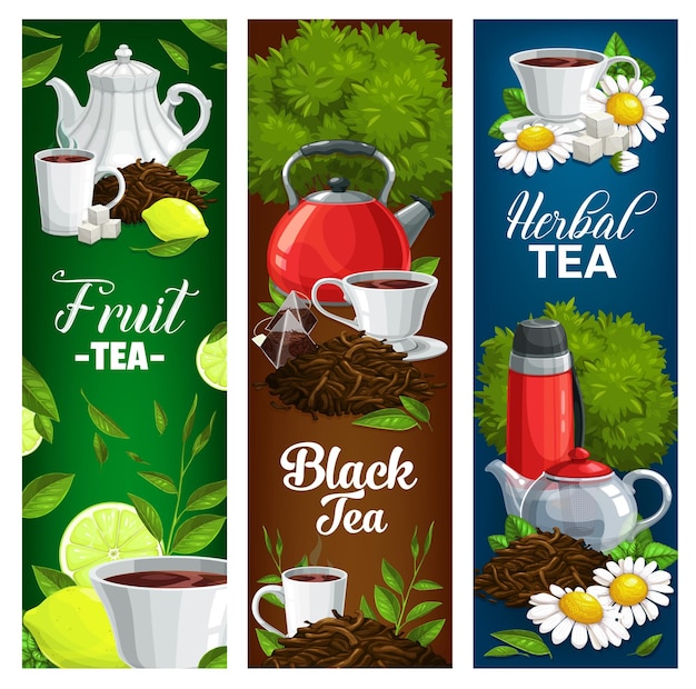 Vector conjunto de banners de vector de té negro y frutas a base de hierbas