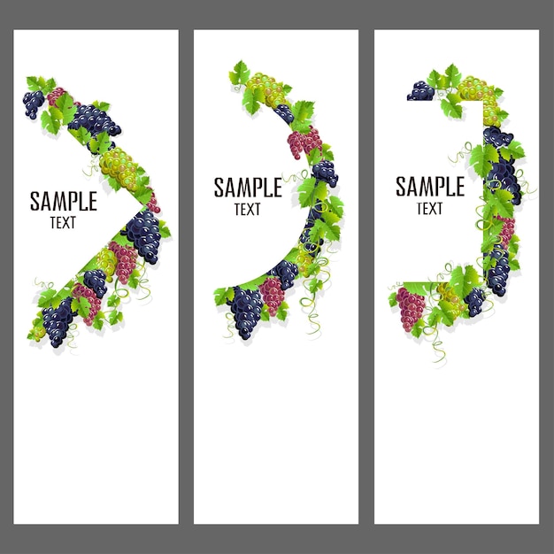 Vector conjunto de banners vectoriales con racimos de uvas