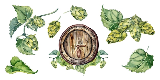 Vector conjunto de barril de cerveza de madera y plantas de lúpulo ilustración acuarela aislado en blanco