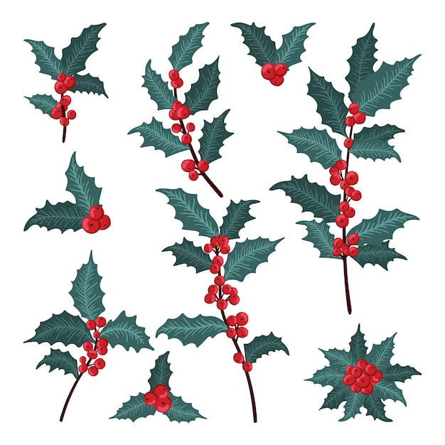 Conjunto de bayas de acebo de Navidad hojas verdes ramas de bayas rojas ramitas Vector ilustración de invierno aislado