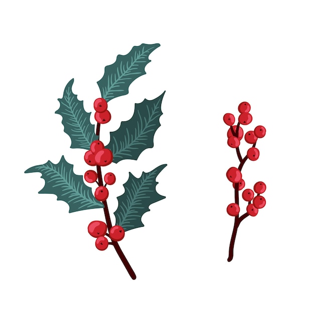 Conjunto de bayas de acebo de Navidad hojas verdes ramas de bayas rojas ramitas Vector ilustración de invierno aislado