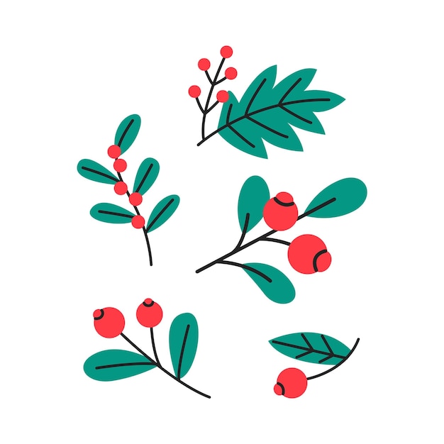 Conjunto de bayas de acebo de Navidad