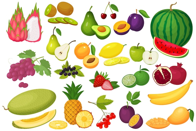 Vector un conjunto de bayas y frutas.