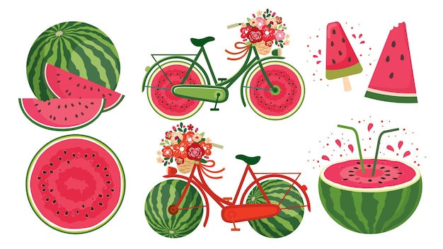 Vector conjunto de bicicletas de sandía