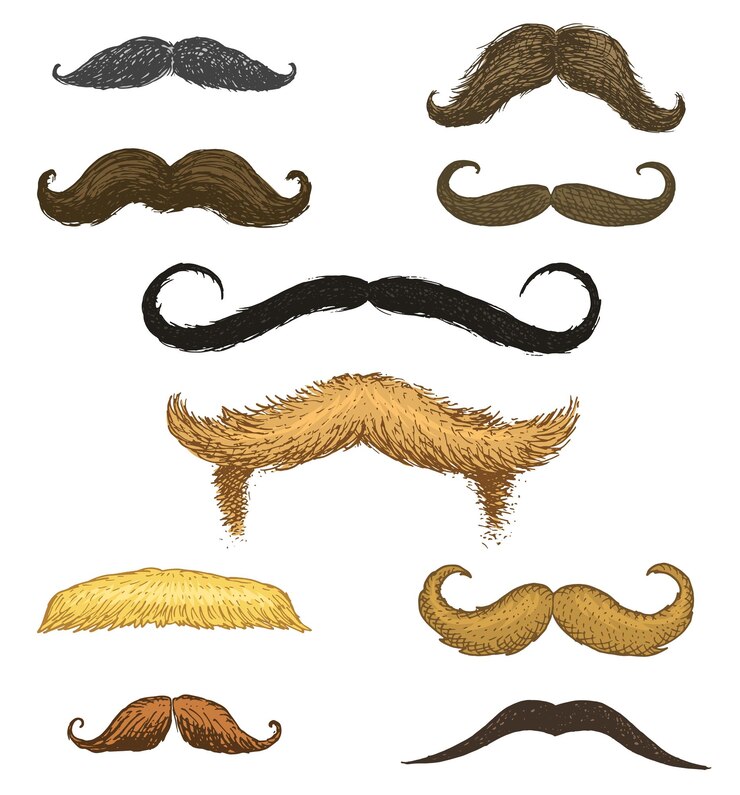 Vector conjunto de bigote y barba graciosa de hombres hipster y peluquero retro o peluquero sobre fondo transparente grabado a mano dibujado en estilo vintage de boceto antiguo para embalaje y señalización