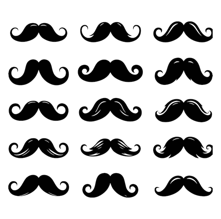 Vector conjunto de bigote masculino ilustración gráfica vectorial