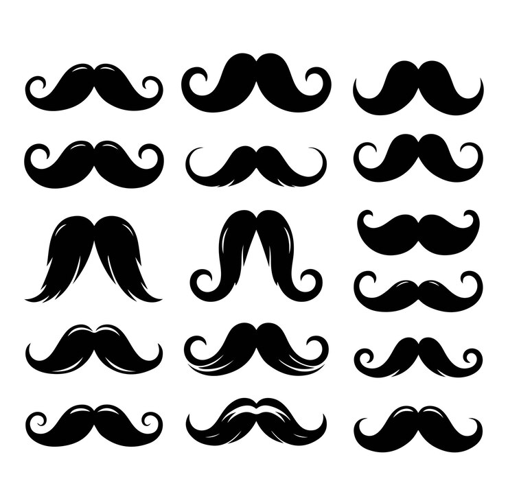 Vector conjunto de bigote masculino ilustración gráfica vectorial