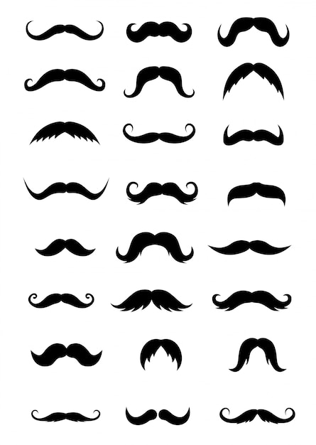 Conjunto de bigotes