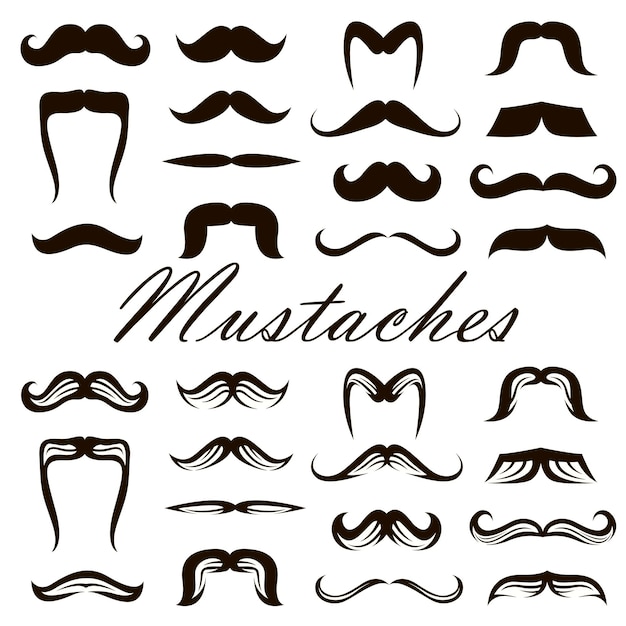 Conjunto de bigotes