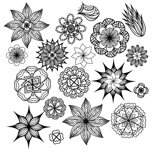 conjunto, de, blanco y negro, garabato, flores, vector, elemento, para, invita