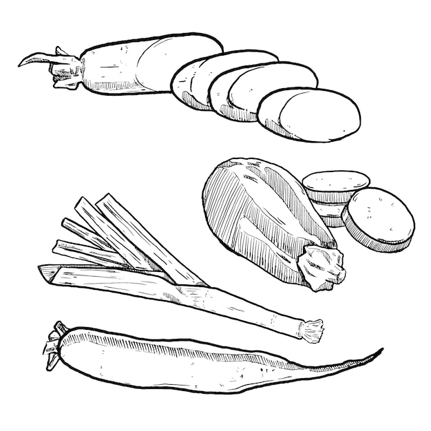 Conjunto de boceto y daikon de puerro vegetal dibujado a mano y berenjena