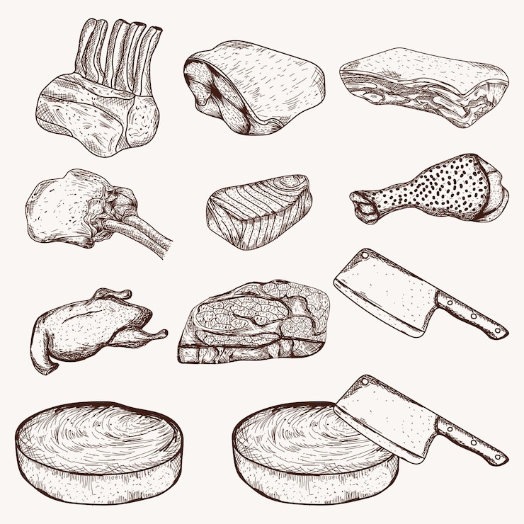 Vector conjunto de bocetos de carne animal, arte de línea de carne.