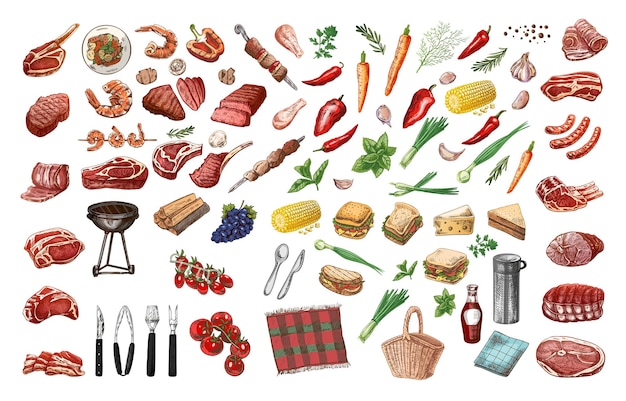 Conjunto de bocetos coloridos dibujados a mano de elementos de carne de barbacoa y picnic para el diseño del menú