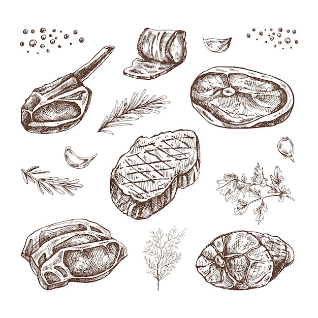 Vector conjunto de bocetos dibujados a mano de pedazos de carne de barbacoa con hierbas y condimentos en fondo de pizarra