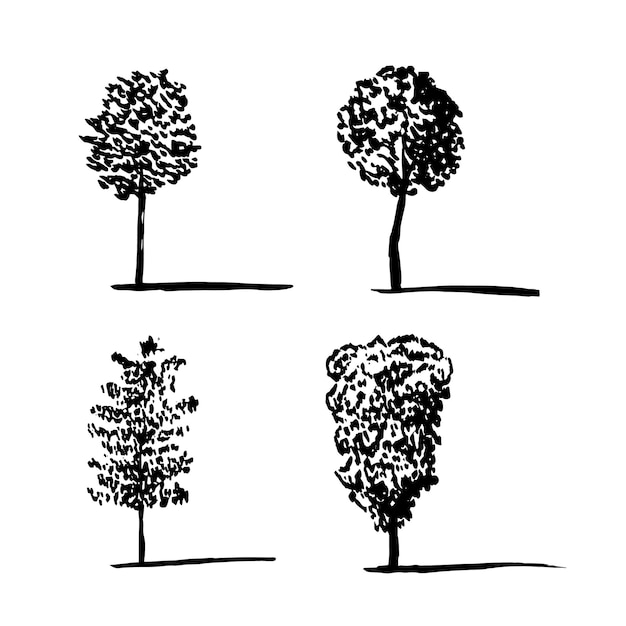 Conjunto de bocetos de diferentes árboles Beech birsh y pine tree vector sketch