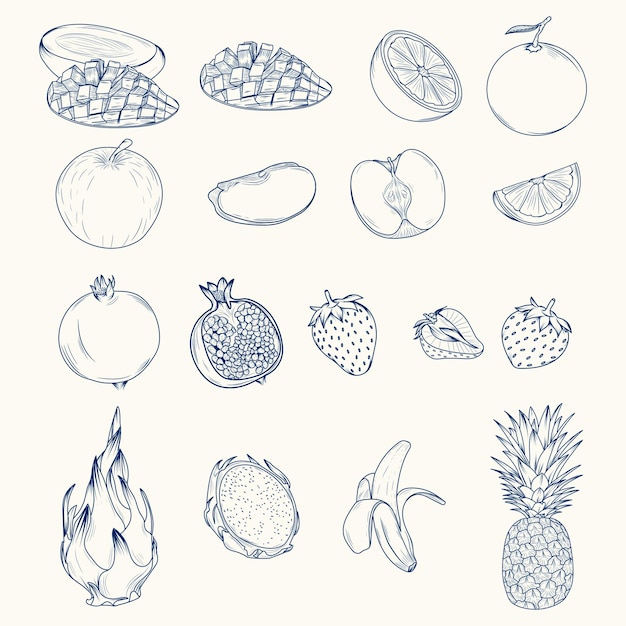 conjunto de bocetos de frutas, arte lineal de varios tipos de frutas