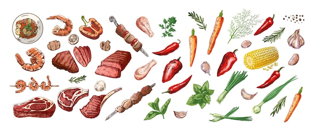 Un conjunto de bocetos a mano de colores de elementos de barbacoa y picnic