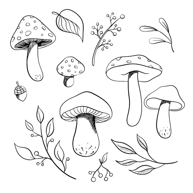 Conjunto de bocetos de naturaleza vectorial de otoño Conjunto dibujado a mano de hojas de bosque y hongos Cosecha estacional