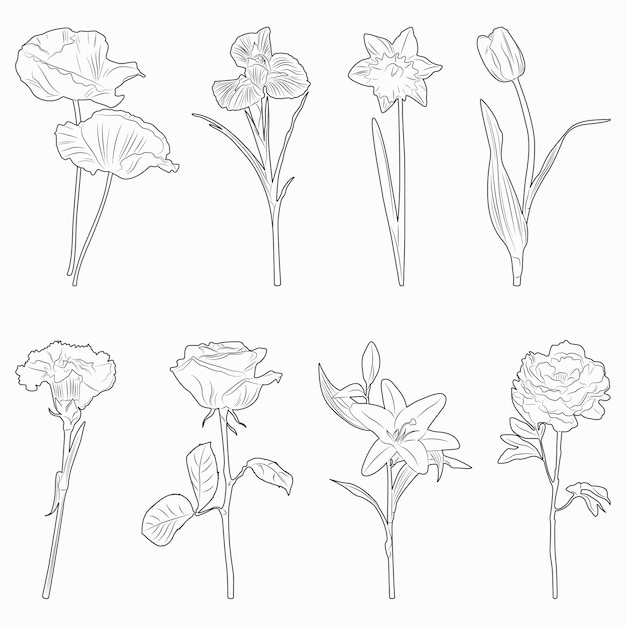 Conjunto de bocetos negros de flores aisladas sobre fondo blanco. Elementos decorativos para el diseño.