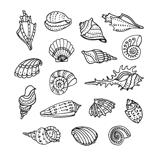 Vector conjunto de bocetos de tinta de conchas marinas.