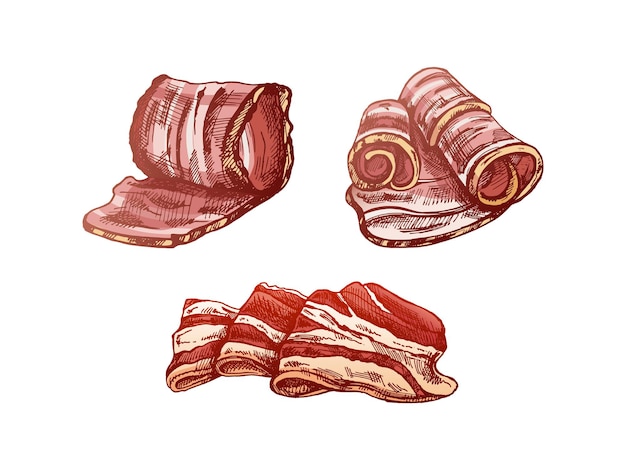 Conjunto de bocetos vectoriales coloreados dibujados a mano de jamón de tocino o rebanadas de jamón del cerdo prosciutto italiano