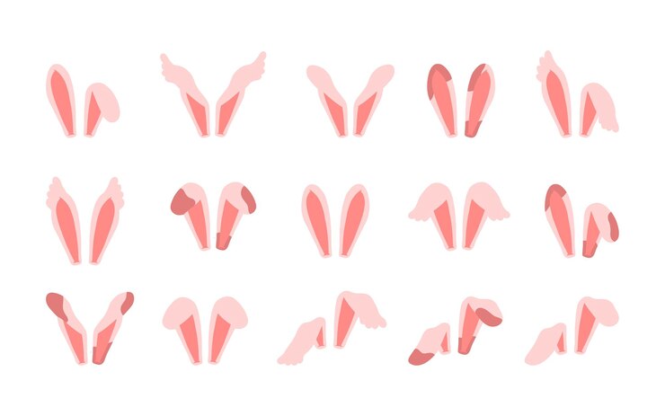 Conjunto de bonitas orejas de conejo para la cabeza en varias formas accesorios de disfraces de conejo de Pascua