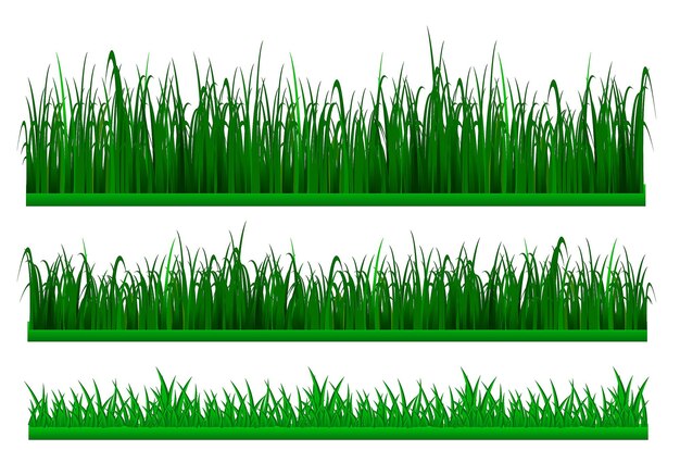 conjunto de borde verde de hierba grande o hierba fresca verde aislada.