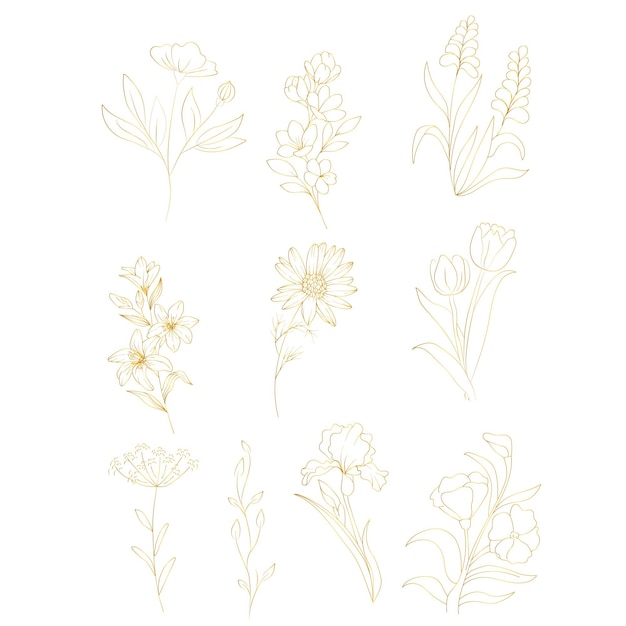 conjunto, de, botánico, elegante, floral, línea, arte