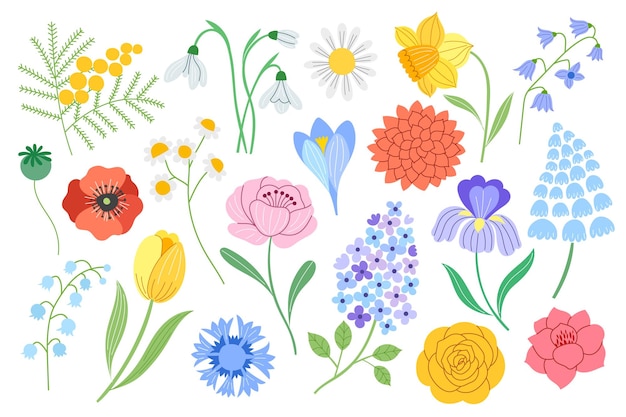 Conjunto botánico de flores de primavera.