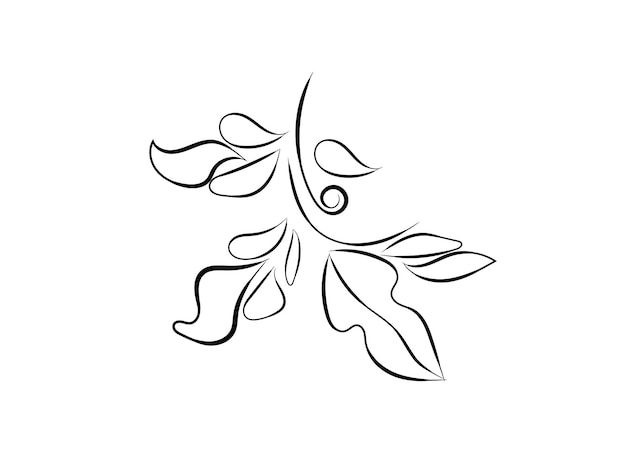 conjunto de botánico hoja doodle flor silvestre línea de arte