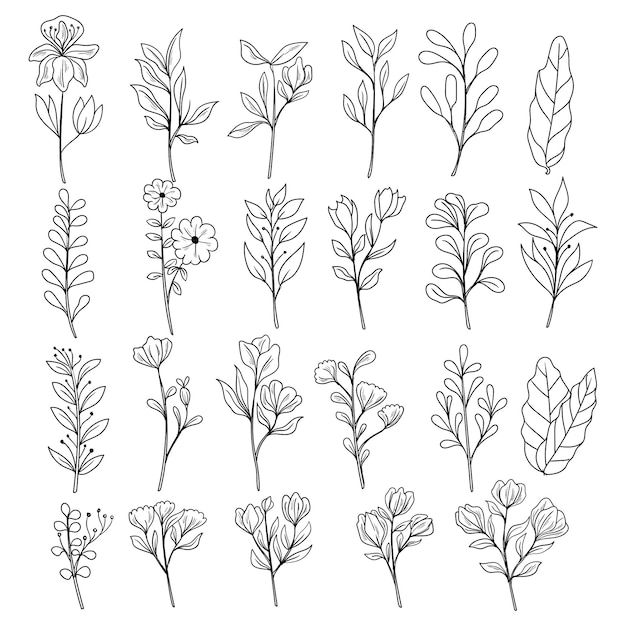 conjunto de botánico hoja doodle flor silvestre línea de arte