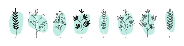 Conjunto botánico minimalista de hojas y ramas dibujadas a mano con azul suave perfecto para la naturaleza inspirada