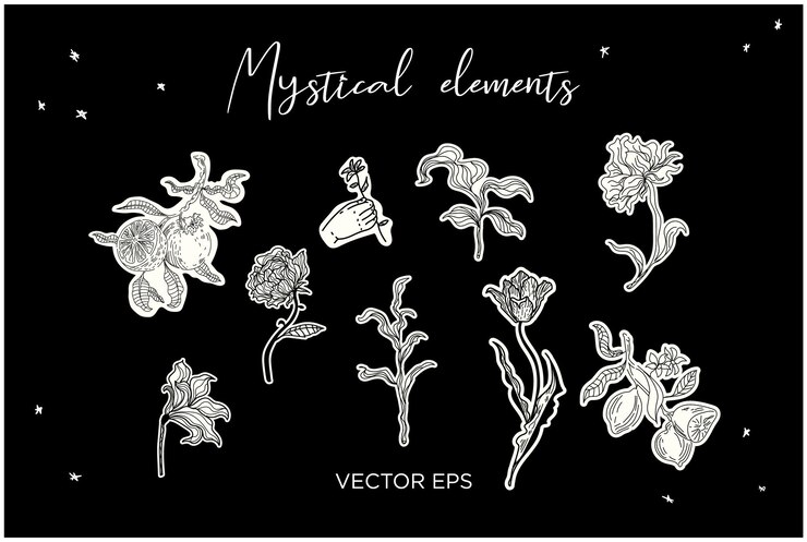 Conjunto botánico místico perfecto para tatuajes, impresiones, marcas y diseños espirituales.