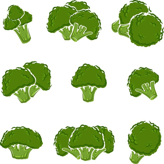 Conjunto de brócoli Vector