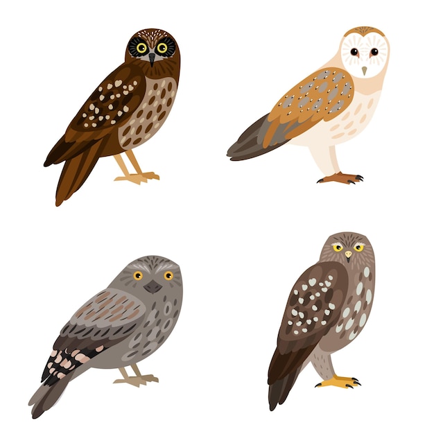 Conjunto de búho diferente. Dibujos animados hermoso bosque volando personaje de ornitología, aves nocturnas con plumas marrones, ilustración vectorial de búhos aislados sobre fondo blanco