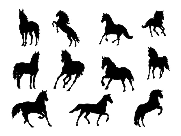 Vector conjunto, de, caballo, silueta