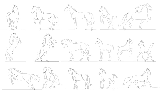 Conjunto de caballos dibujando un vector de línea continua, aislado