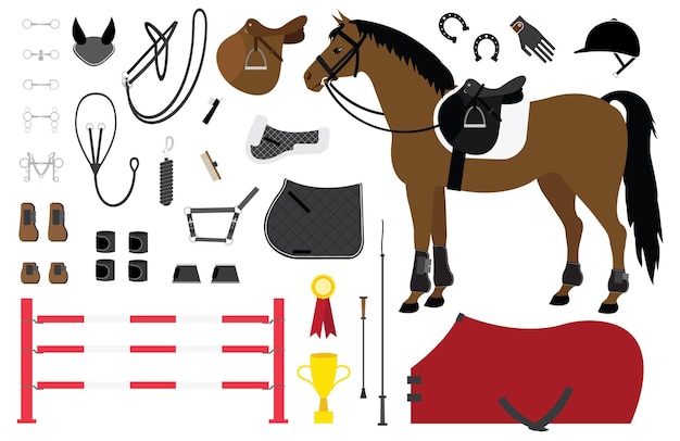 Conjunto de caballos y equipamiento ecuestre
